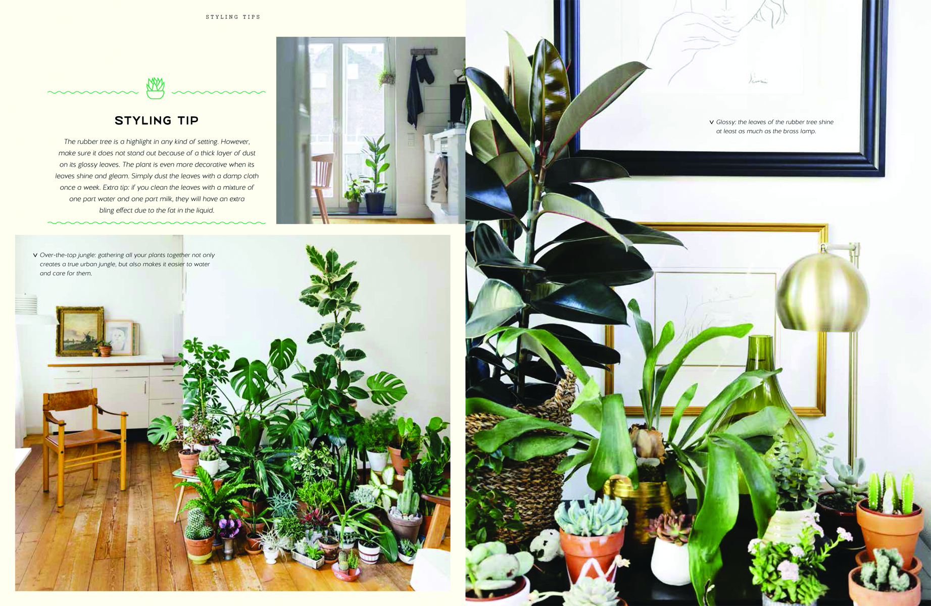 Urban Jungle: Living and Styling with Plants