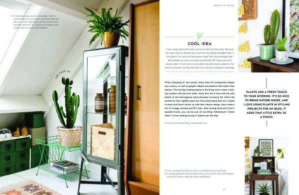 Group of indoor plants: cacti, large green leaved tropicals, on cover of 'Urban Jungle: Living and Styling with Plants', by Callwey.