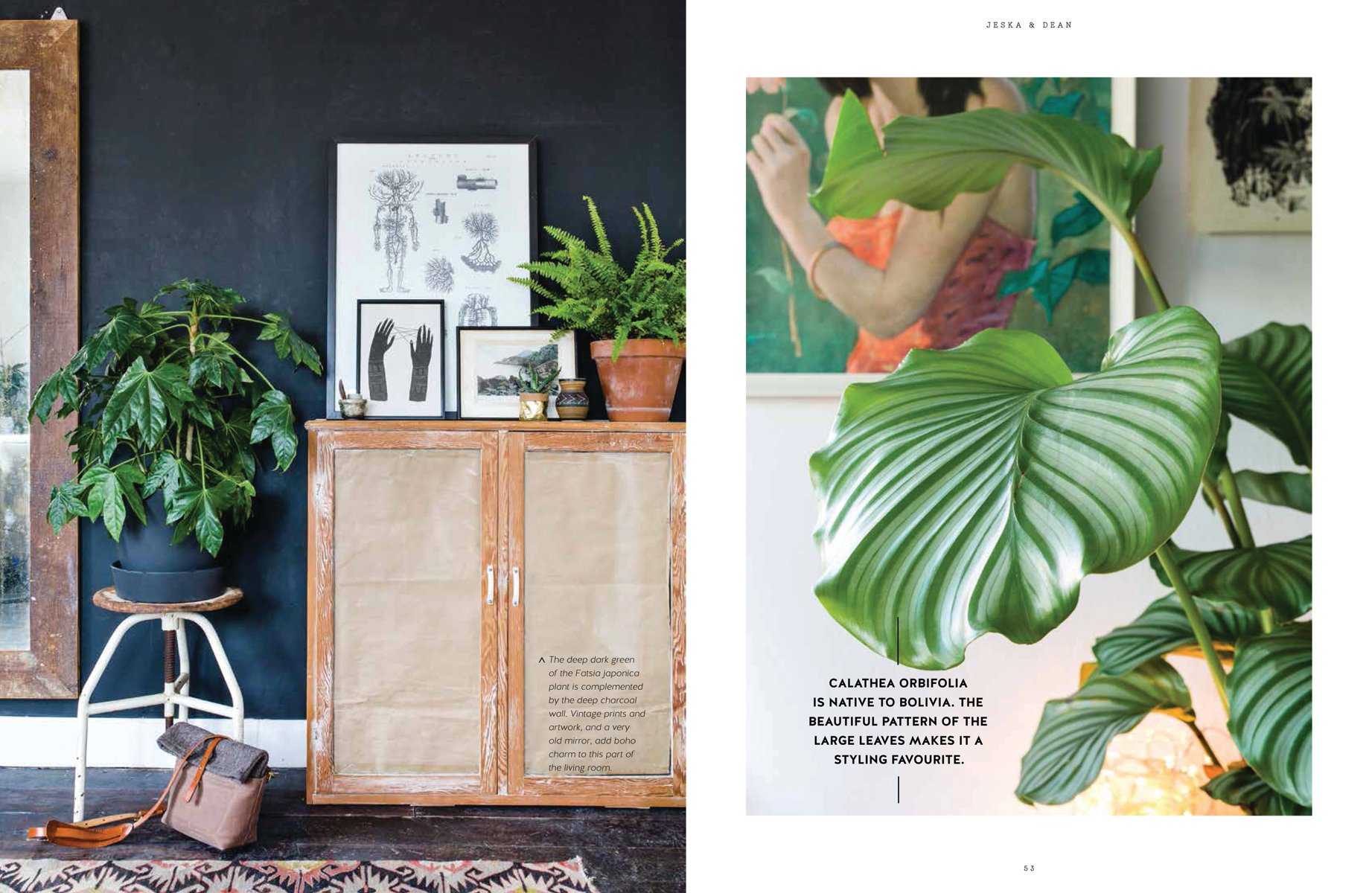 Urban Jungle: Living and Styling with Plants
