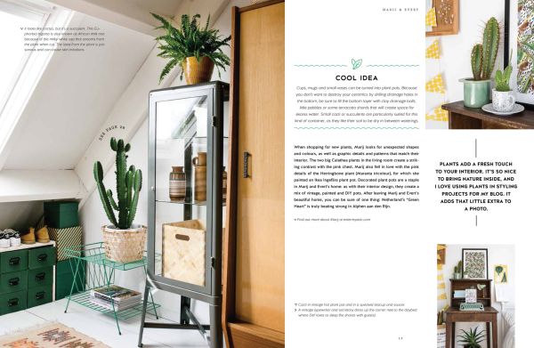 Potted indoor plants, cacti and succulents, against green wall on cover of 'Urban Jungle: Living and Styling with Plants', by Callwey.