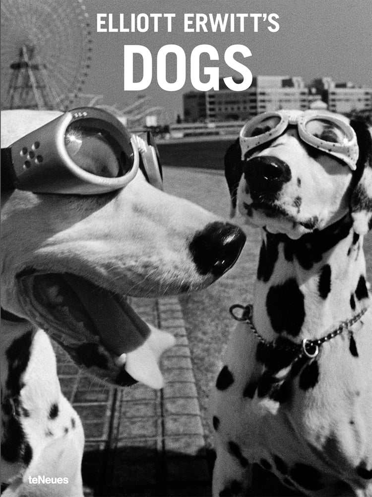 Hilarious photo of two Dalmatian dogs wearing swimming goggles, on cover of 'Elliott Erwitt's Dogs', by teNeues Books.