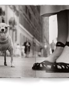 Two Dalmatian dogs wearing swimming goggles, ELLIOTT ERWITT'S DOGS, in white font above.