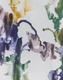 Blue and yellow watercolour lines flowing across pale grey cover, Silvia Buol in black font to top right corner.