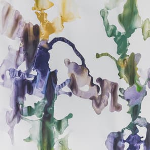 Blue and yellow watercolour lines flowing across pale grey cover, Silvia Buol in black font to top right corner.