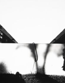 Landscape with long, leafless stems on green cover, The Beauty of Lines The Gilman and Gonzalez-Falla Collection in black font to right edge