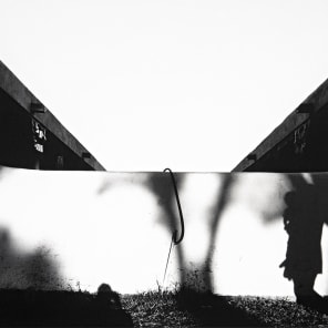 Landscape with long, leafless stems on green cover, The Beauty of Lines The Gilman and Gonzalez-Falla Collection in black font to right edge