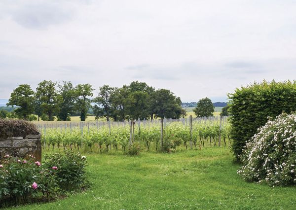 Low topiary hedges, large trees behind, on coral cover, The Gardens of La Gara in green font to lower left