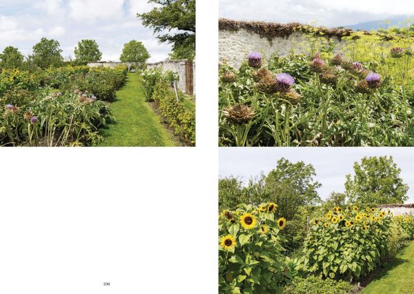 Low topiary hedges, large trees behind, on coral cover, The Gardens of La Gara in green font to lower left