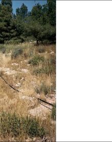 Book cover of Unresolved; with a camouflaged soldier leaning on building, with townspeople walk past brick building. Published by Scheidegger & Spiess.