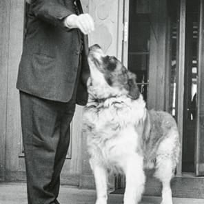 111 Years Waldhaus Sils The Curious Tale and Incomplete History of an Alpine Grand Hotel and its People in gold font on grey cover.