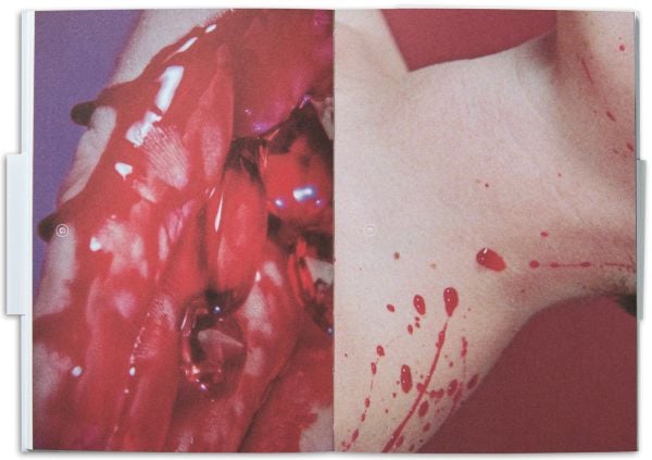 Book cover of Isabelle Cornaro, Fascination and Disgust of Matter'. Published by Scheidegger & Spiess.