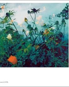 Framed image of Mickey Mouse leaning against white interior wall with mirror and chandelier above, The Julius Baer Art Collection in black font above.