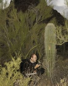 Newspaper front page with article headings, New Cut in black at top and American Readers at Home vertically on right in black font on white cover.