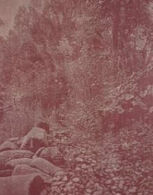 Book cover of A Conversation Without Words:Thierry Barbier-Mueller's Collection. Published by Scheidegger & Spiess.