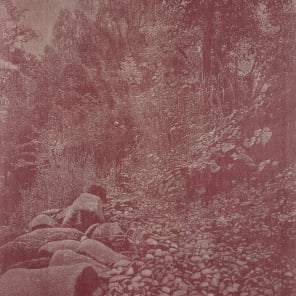 Book cover of A Conversation Without Words:Thierry Barbier-Mueller's Collection. Published by Scheidegger & Spiess.