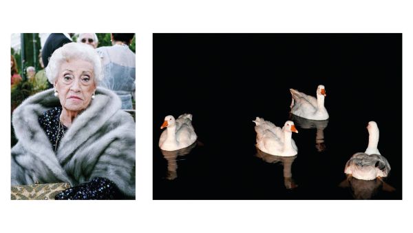 Book cover of Archipiélago, featuring a night-time snapshot of bonnet of white Bentley with flying B, and headlights on. Published by Verlag Kettler.