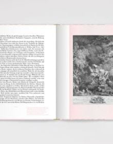 Pink book cover of Der Flexible Plan, Das Rokoko in der Gegenwartskunst, with a threaded orange drape to top. Published by Verlag Kettler.