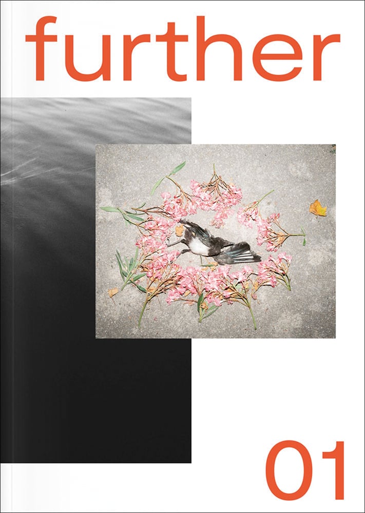 Dead bird circled by pink flowers, on white and charcoal cover, further 01 in orange font above and below