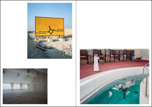 Book cover of further 02, with person peering into driver side window of red car with tropical screen cover. Published by Verlag Kettler.