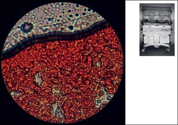 Book cover of further 02, with person peering into driver side window of red car with tropical screen cover. Published by Verlag Kettler.