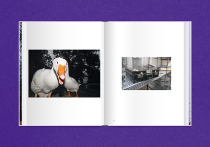 Book cover of Matthias Wittig, Fake Dreams, with hand-written font in black. Published by Verlag Kettler.