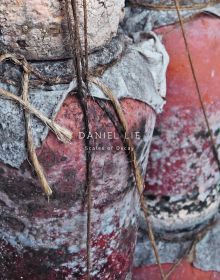 Close up of decaying terracotta pots with flaking paint, wrapped in cloth with string, DANIEL LIE Scales of Decay in white font to centre.