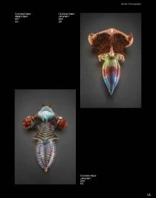 2 abstract black and brown sculptures on black cover, Ceramic Horizons in white font, arnoldsche to lower right corner