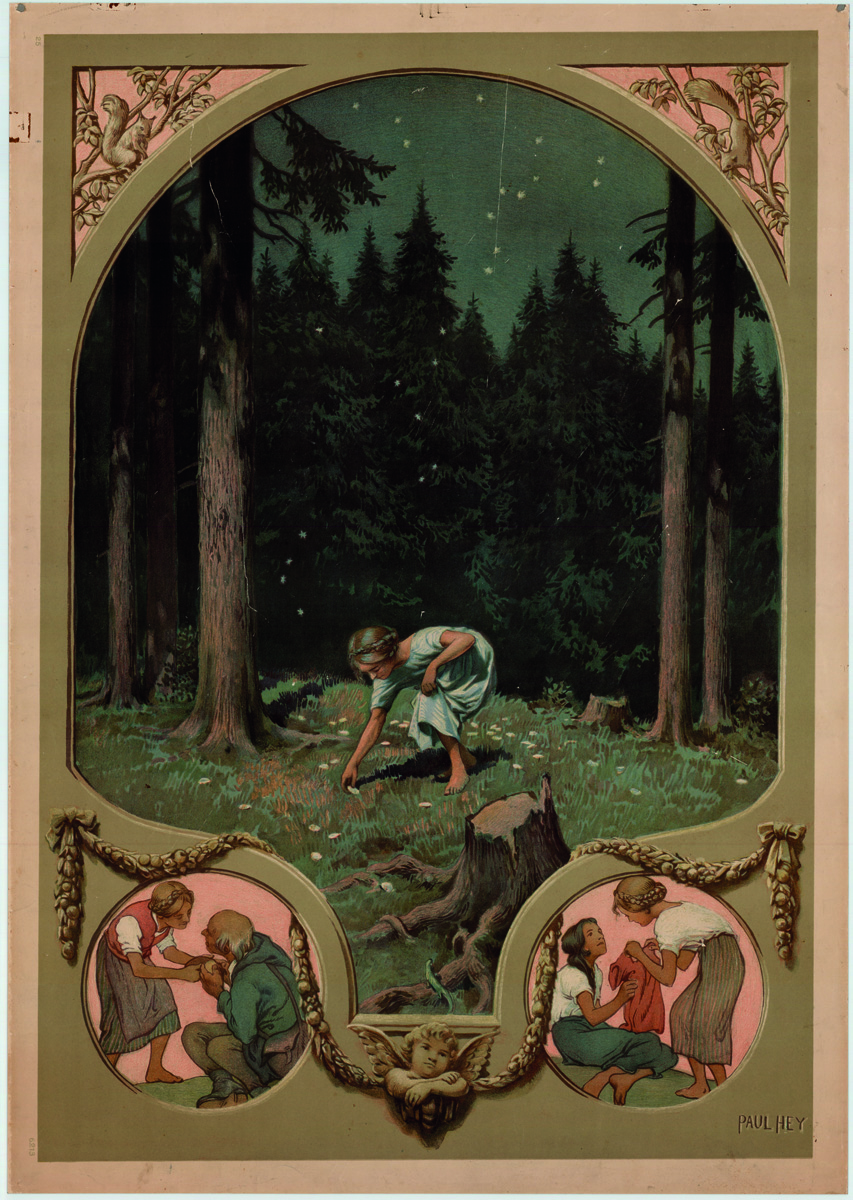 Illustration of Red Riding Hood, in red head scarf, walking alongside wolf in the forest, RED HOOD. BLUE BEARD Colour in Fairy Tales in white font on brown and blue banners below.