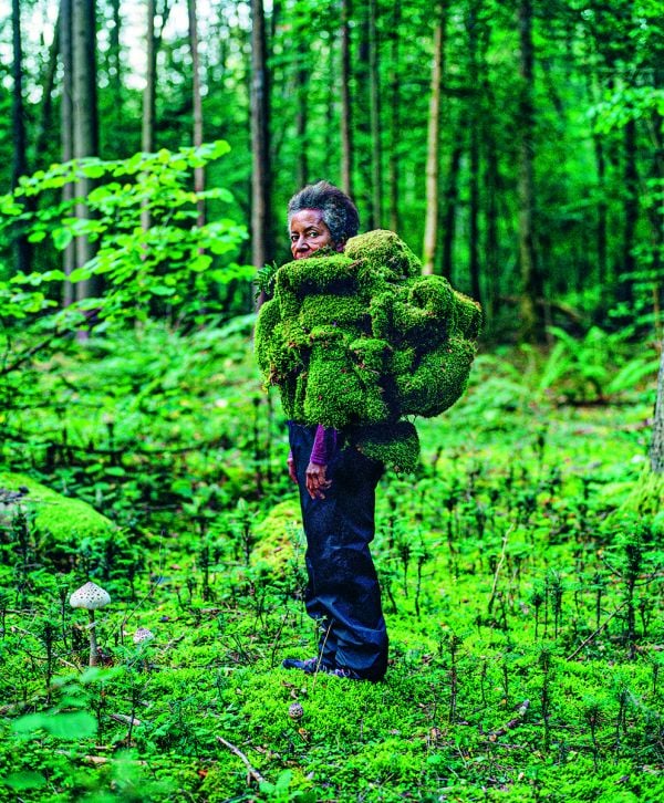 Earth, Wind, Fire, Water