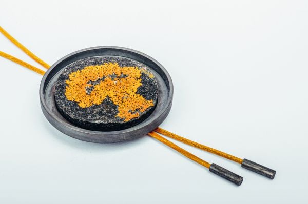 Reinhold Ziegler - Transgression