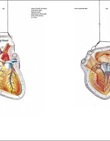 Red crushed metal sculpture, on white cover of 'Deganit Stern Schocken: How Many Is One, Jewellery / Objects / Installations', by Arnoldsche Art Publishers.