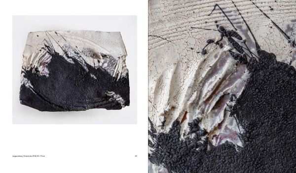 Book cover of Claude Champy, Stardust / Poussie?res d’e?toiles, with a grey textured surface. Published by Arnoldsche Art Publishers.