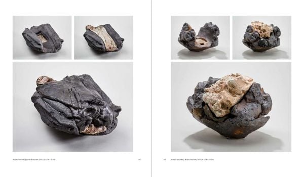 Book cover of Claude Champy, Stardust / Poussie?res d’e?toiles, with a grey textured surface. Published by Arnoldsche Art Publishers.