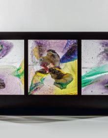 Book cover of Antoine Leperlier: Shaping Time. Works in Glass from 1981 to Now / Donner forme au temps. Œuvres en verre de 1981 à aujourd’hui, with a wax artwork. Published by Arnoldsche Art Publishers.