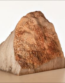 Book cover of Thomas Elsen's Martin Kargruber: from the inside out … Holzskulptur 2014–2024, featuring a wood sculpture. Published by Arnoldsche Art Publishers.