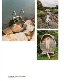 Book cover of Irene Nordli: 