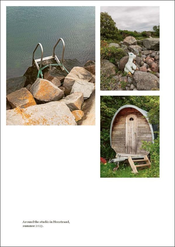 Book cover of Irene Nordli: