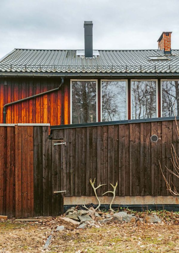 Book cover of Irene Nordli: