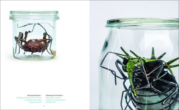 Book cover of Dana Meyer: South Pacific Expedition; featuring a large insect in a bottle. Published by Arnoldsche Art Publishers.