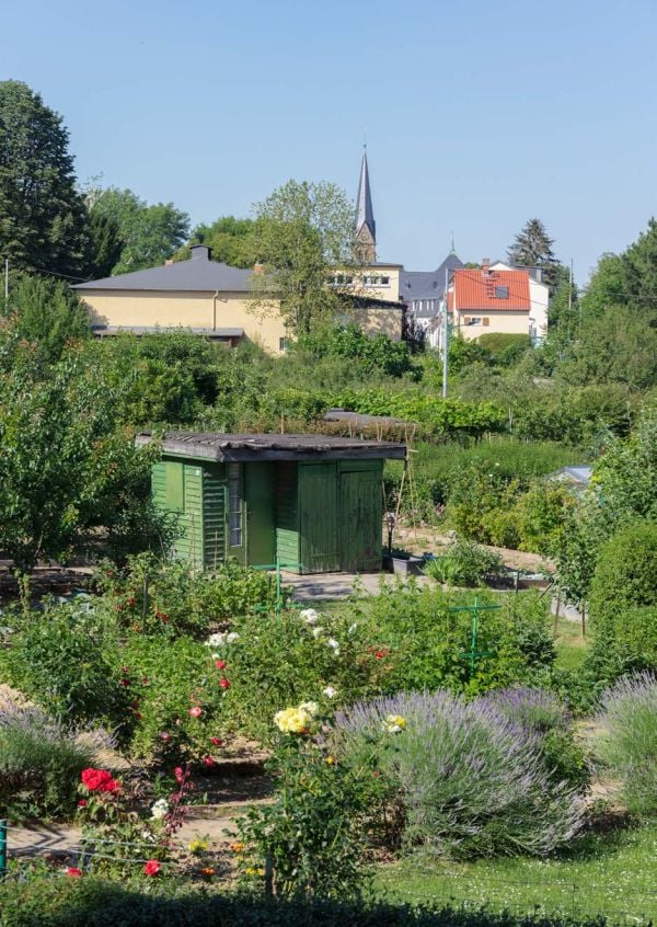 Orange door with key in lock, on cover of 'mayhaus, Das Musterhaus des Neuen Frankfurt', by Avedition Gmbh.