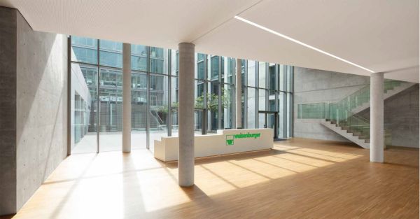 Slender stemmed tree with green leaves in front of pale grey concrete wall, on cover of 'Urban building by Tadao Ando, weisenburger headquarters in Karlsruhe', by Avedition.