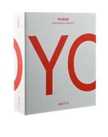 Book cover of YoYo: A Spin Through Creativity. Published by AvEdition.