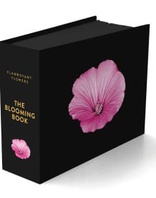 Book cover of The Blooming Book, with a close-up of a pink hibiscus flower head. Published by Seltmann Publishers.