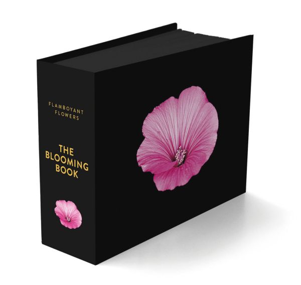 Book cover of The Blooming Book, with a close-up of a pink hibiscus flower head. Published by Seltmann Publishers.