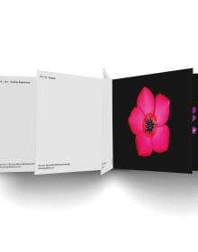 Book cover of The Blooming Book, with a close-up of a pink hibiscus flower head. Published by Seltmann Publishers.