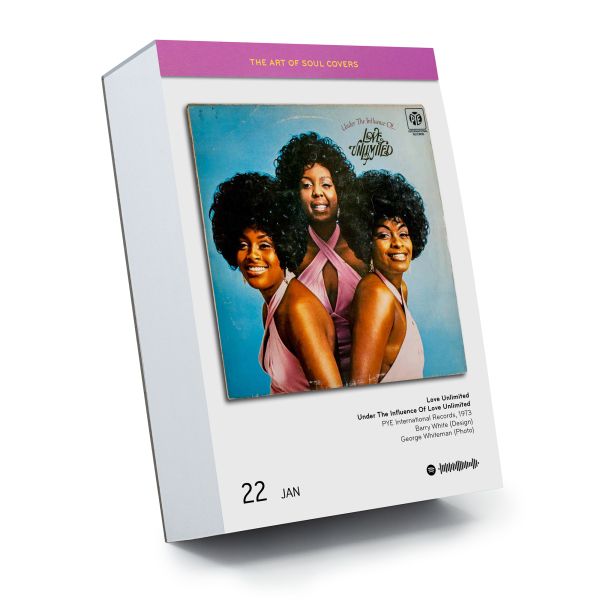 Calendar cover of The Art of Soul Covers, with a shelf of vinyl records. Published by Seltmann Publishers.