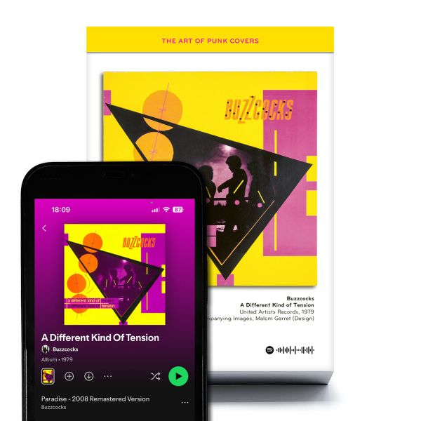 The Art of Punk Covers Vol. 2