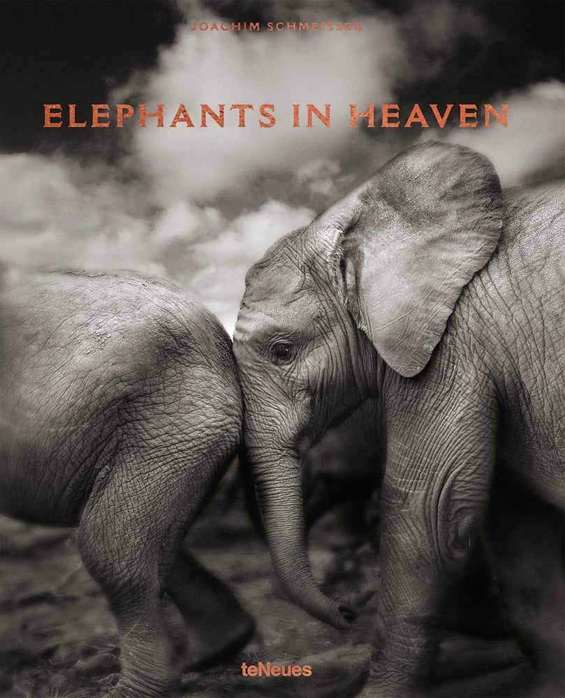 Book cover of Elephants in Heaven, featuring an elephant nudging the rear of another. Published by teNeues Books.