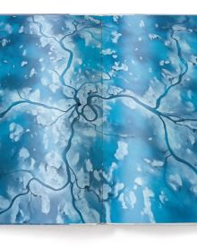 Large polar bear footprints in snow landscape, PAUL NICKLEN, BORN TO ICE, in white font above.