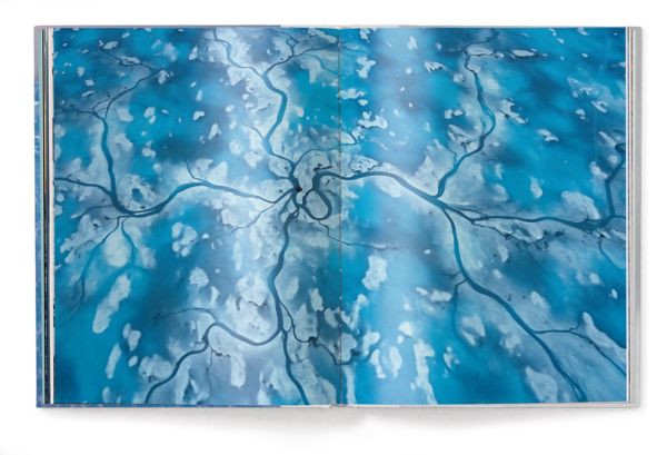 Large polar bear footprints in snow landscape, PAUL NICKLEN, BORN TO ICE, in white font above.